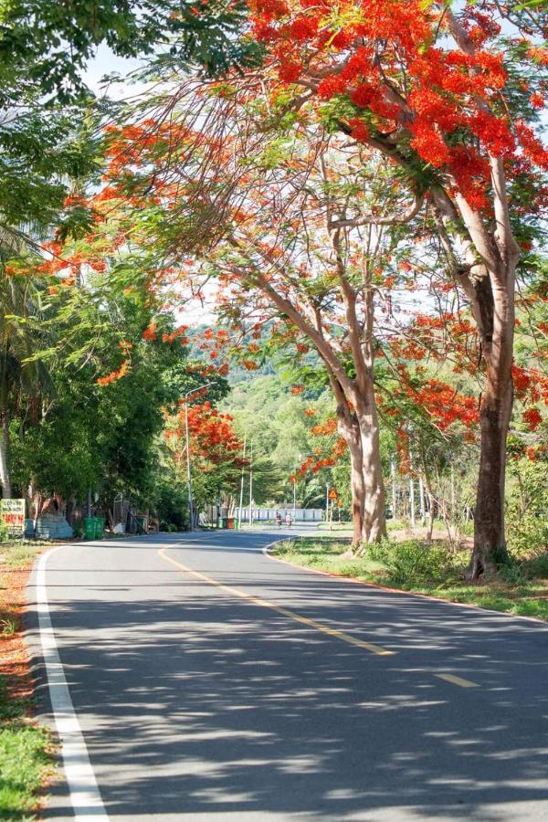 Homstay Thanh Son Chi Khu Co Ong Экстерьер фото